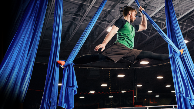 Aerial Silks