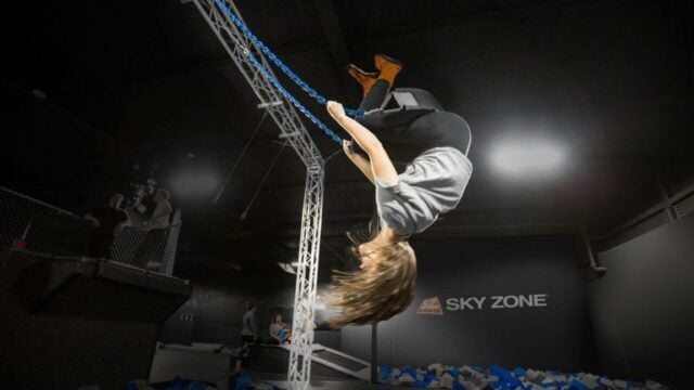 Trapeze & Swing