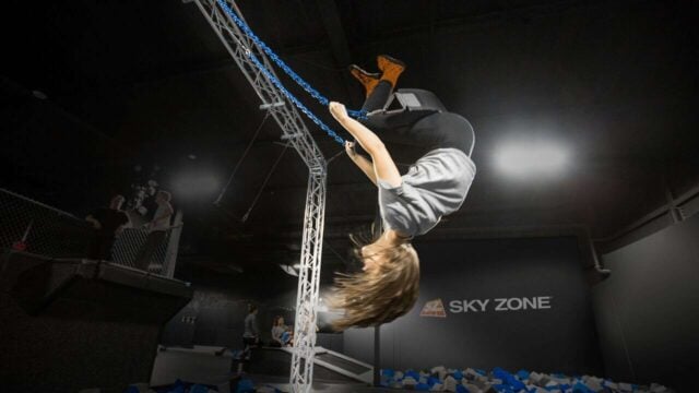 Trapeze & Swing