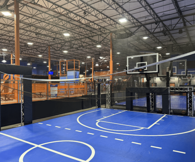 Ultimate Volleyball